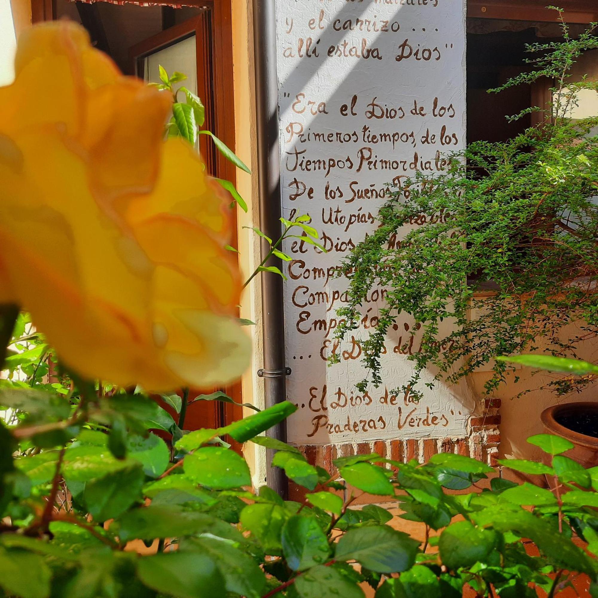 Beautiful Alamedas - Una Casa Rural Con Una Historia Unica Castronuno Eksteriør billede