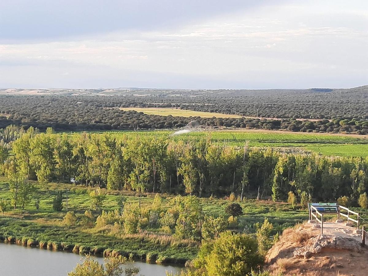 Beautiful Alamedas - Una Casa Rural Con Una Historia Unica Castronuno Eksteriør billede