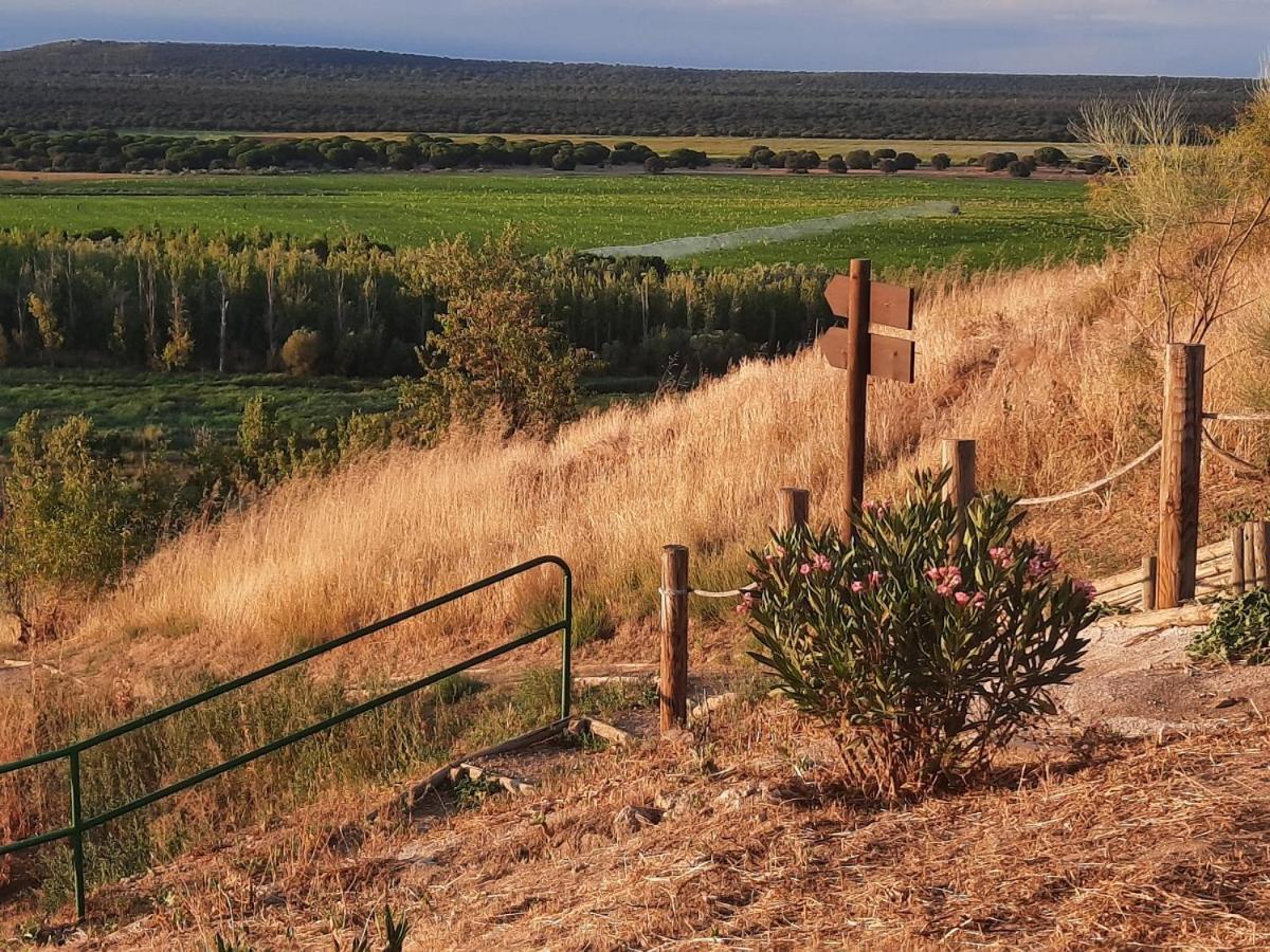Beautiful Alamedas - Una Casa Rural Con Una Historia Unica Castronuno Eksteriør billede
